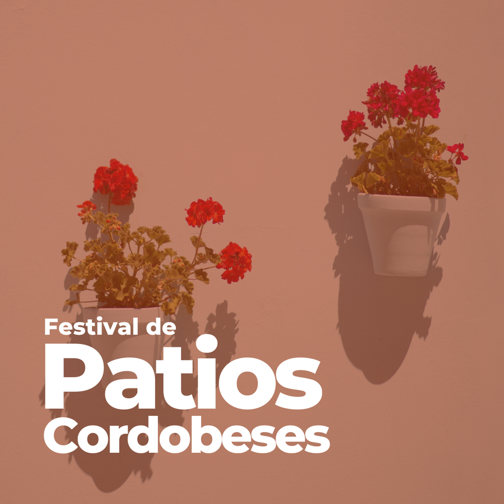 Festival Patios Cordoue